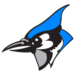 Bird Only Logo - Bluejay Advisors Transportation M&A Advisory